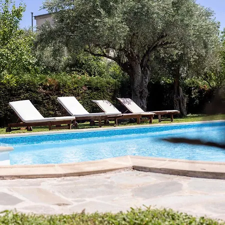 Felicia Dream House Kamena Vourla